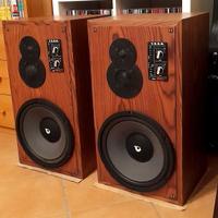 E.S.B. 100 LD DIFFUSORI HI-FI (VINTAGE ITALIANO!)