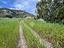 Immagine 25