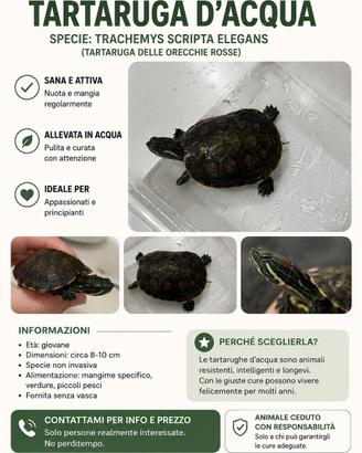 Tartaruga acquatica