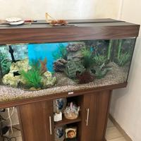 Acquario più mobile