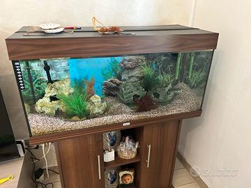 Acquario più mobile