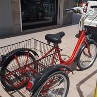 Bici triciclo Cargo Bike pedalata assistita