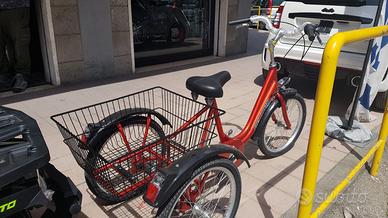 Bici triciclo Cargo Bike pedalata assistita