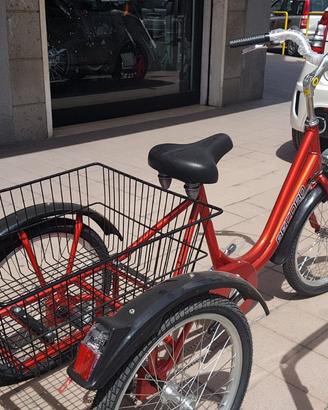 Bici triciclo Cargo Bike pedalata assistita