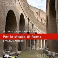 Latino a scuola latino a casa per le strade di rom