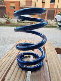 molla monoammortizzatore Gubellini