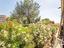 Immagine 27
