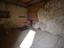 Immagine 11
