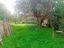 Immagine 26