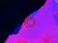 Immagine 6
