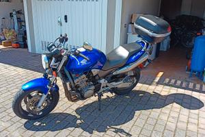 Honda hornet 900