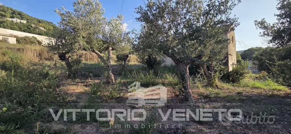 Terreno di 1953 m² a Laureana Cilento - Altro