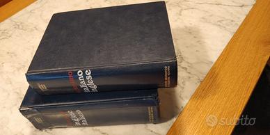 vocabolario dizionario italiano inglese 2 volumi