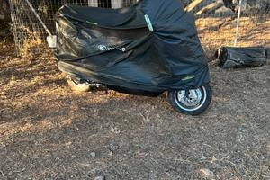 Kimco Grand Dink 250