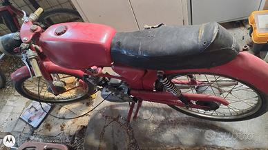 ciclomotore Legnano T113