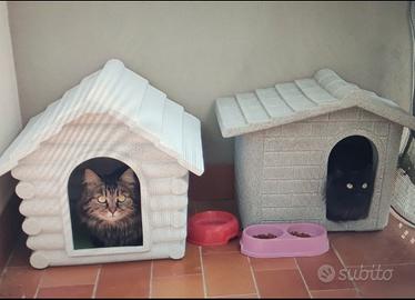 cuccia