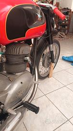 MV 175 csgt 1956