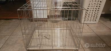 kennel cani o gatti 
