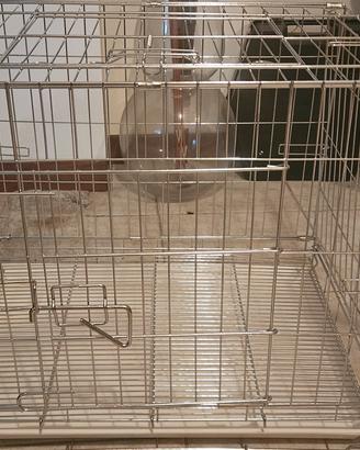 kennel cani o gatti 