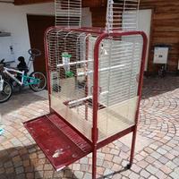 Gabbia per pappagalli 