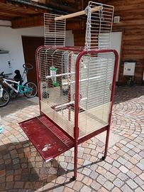 Gabbia per pappagalli 