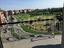 Immagine 6