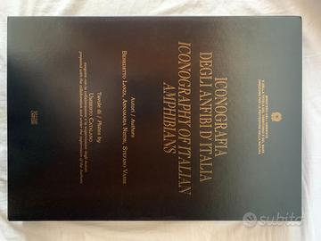 ICONOGRAFIA DEGLI ANFIBI D'ITALIA . tavole ill.