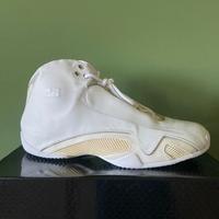 Nike Jordan XXI