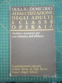 Alfabetizzazione degli adulti e classe operaia