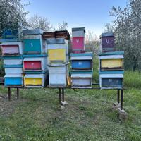 attrezzatura per api