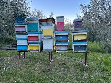 attrezzatura per api