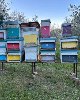 attrezzatura per api