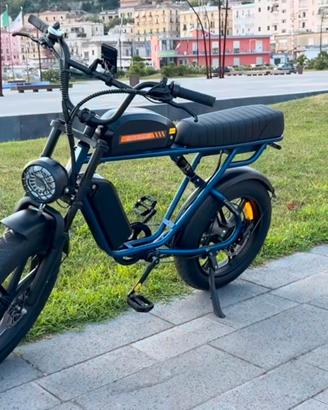 Bici Elettrica ENGWE M1 Doppia batteria 