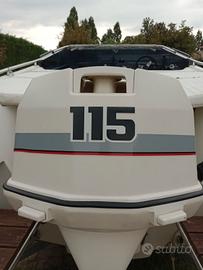 jonson 115 cv 2 t.  per ricambi o da ripristino