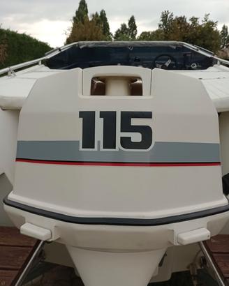jonson 115 cv 2 t.  per ricambi o da ripristino