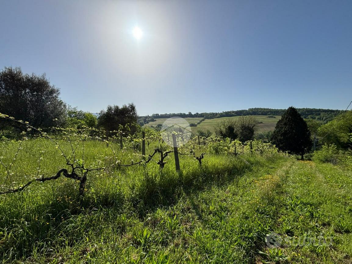 Casa – Otricoli, Castellaccio - Vista 4