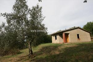 CS208 - Monte San Savino casa singola al g