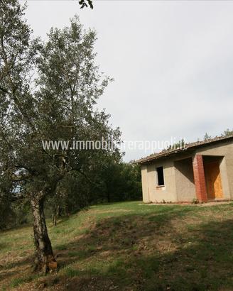 CS208 - Monte San Savino casa singola al g
