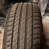 Gomme estive kleber