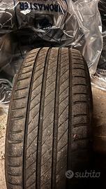 Gomme estive kleber