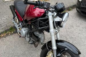 Ducati monster