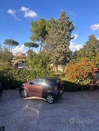 Toyota IQ 2009 melanzana