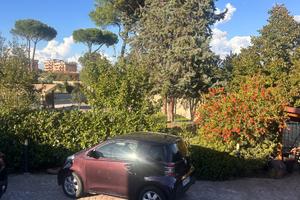 Toyota IQ 2009 melanzana