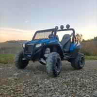 Pegperego RZR  12v