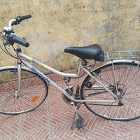 bici donna 