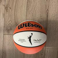Palla da basket