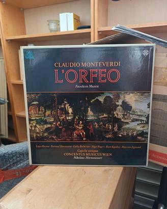 Vinili da collezione