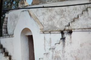 Trullo con terreno e ulivi