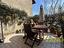 Immagine 19