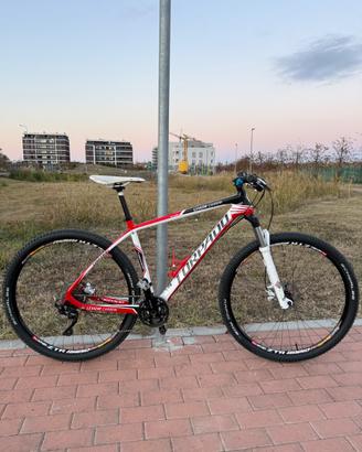 Bici mtb 29 Torpado